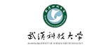 武汉科技大学